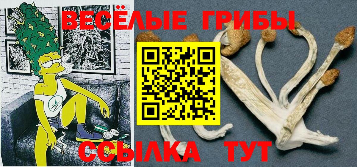 Луга  Галлюциногенные грибы Magic Shrooms  Вход с VPN 