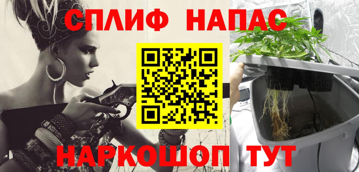 Бошки марихуана OG Kush Луга